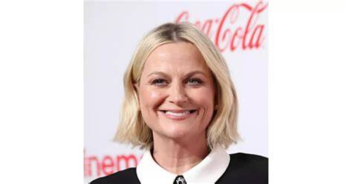 Amy Poehler notable achievements Amy Poehler notable achievements
