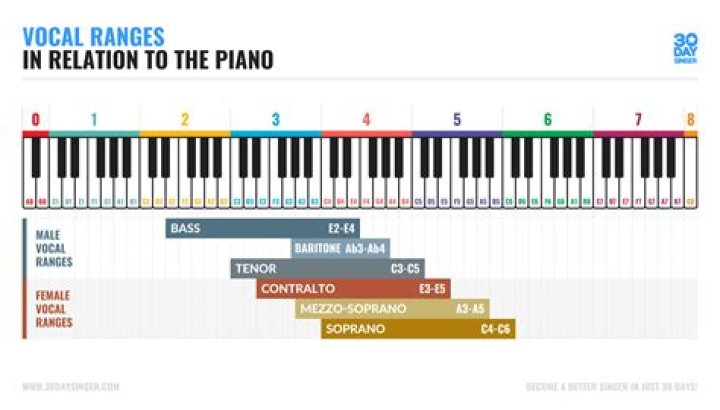 average vocal range