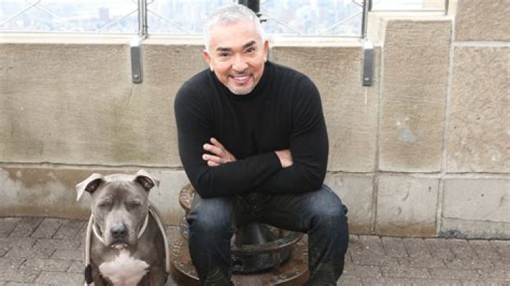 Cesar Millan's Son Andre Millan