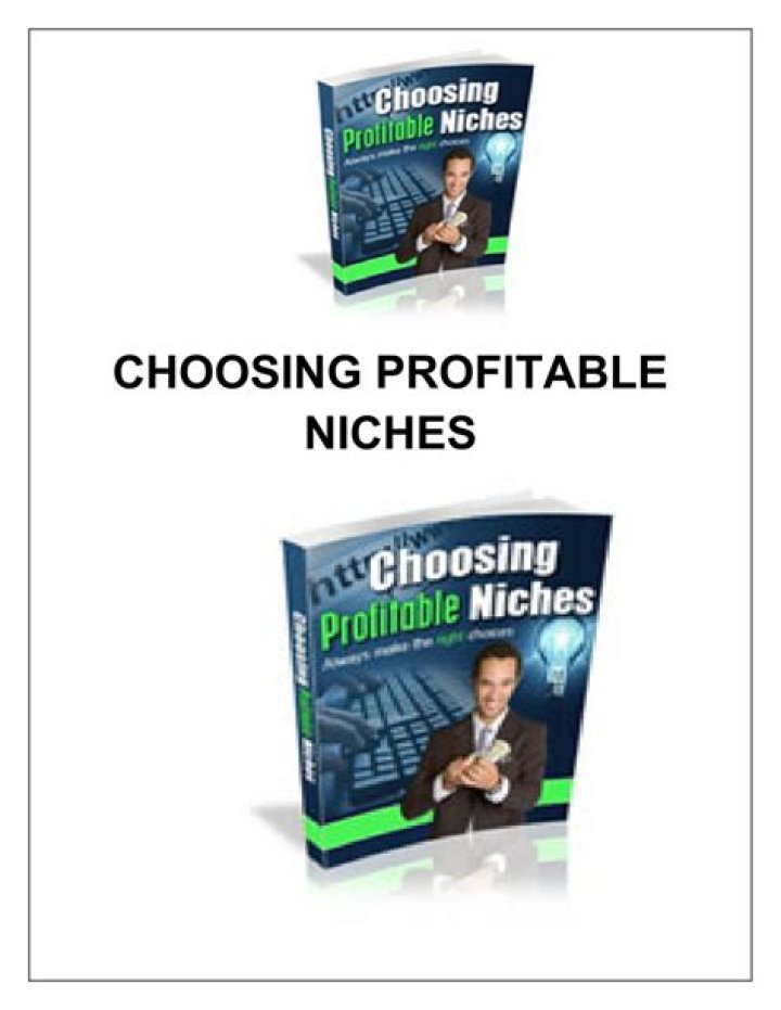 choosing a profitable niche