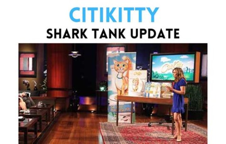 CitiKitty Popularity CitiKitty Popularity