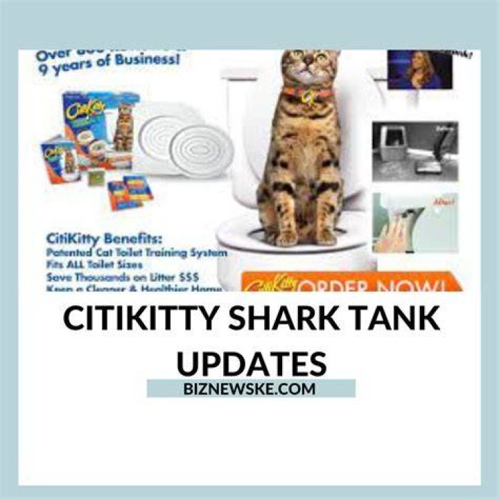 CitiKitty product expansion CitiKitty product expansion