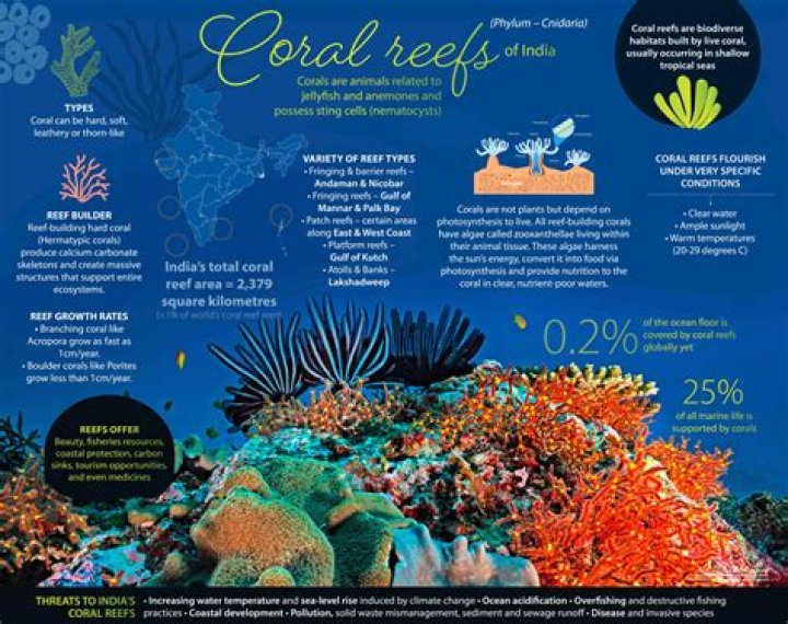 Coral Sharon - Additional Facts