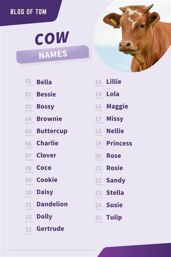 cow names cow names