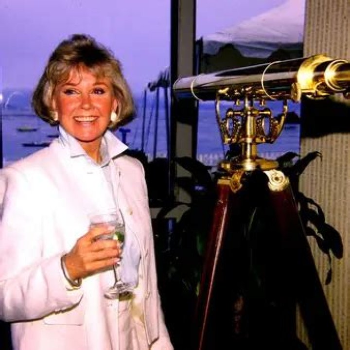 doris day net worth at death