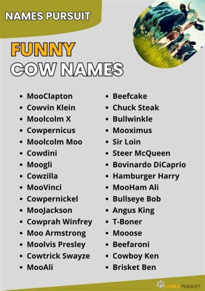 funny cow names funny cow names