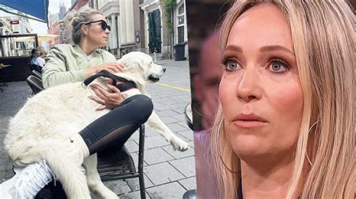Hélène Hendriks affair