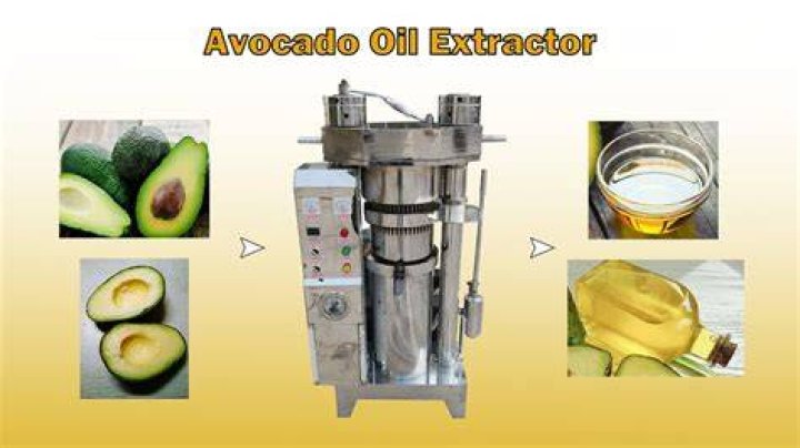 How to extract avocado oil from the seed