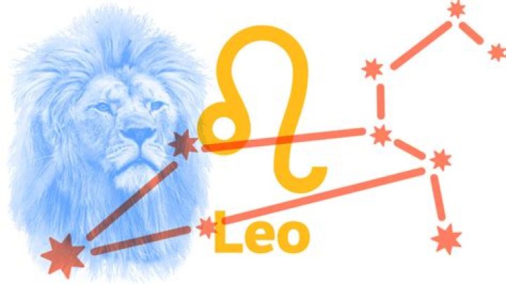 Leo Ara&uacute;jo