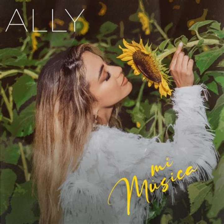 Mi Musica - Ally Brooke - Video game soundtrack and memes.