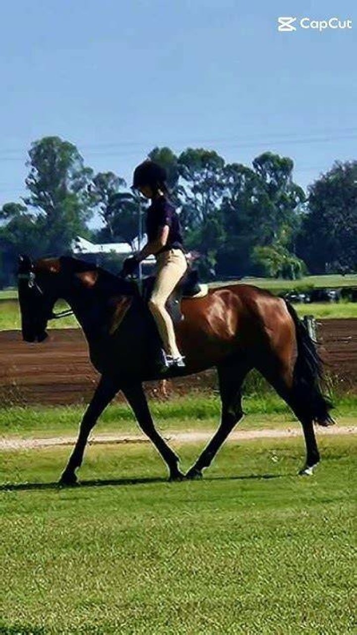Nathan Parsons horse riding