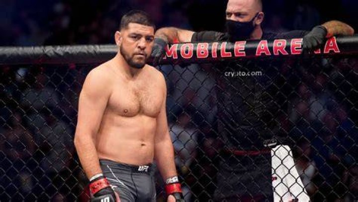 nick diaz career earnings