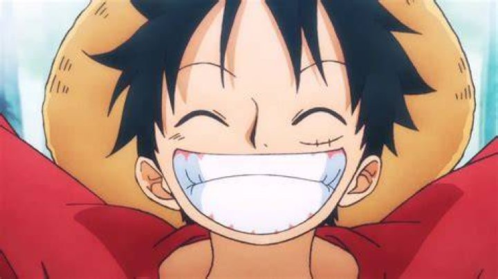 One Piece anime
