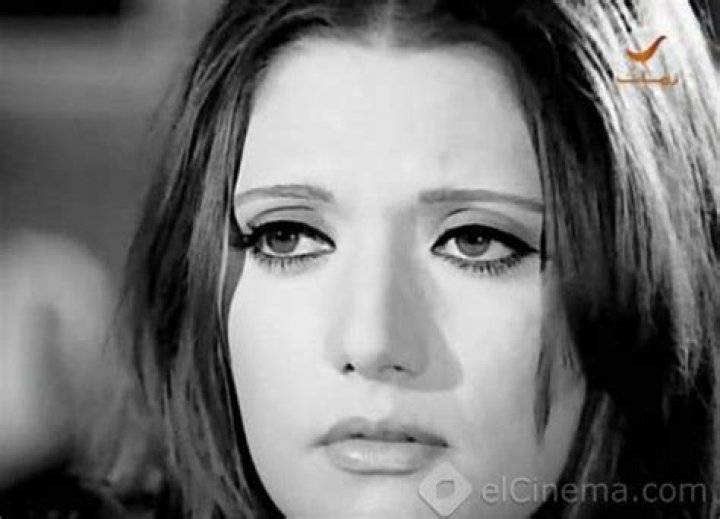 Shams al-Baroudi