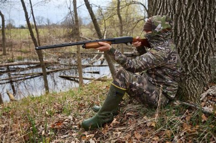 shotgun hunting image