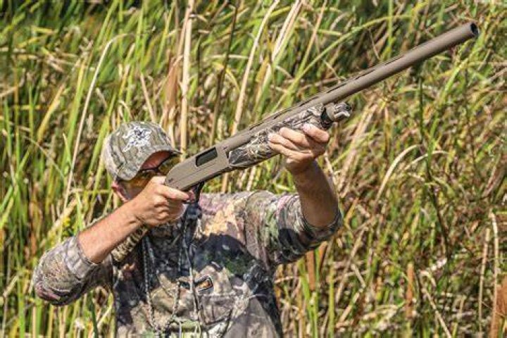 shotgun hunting