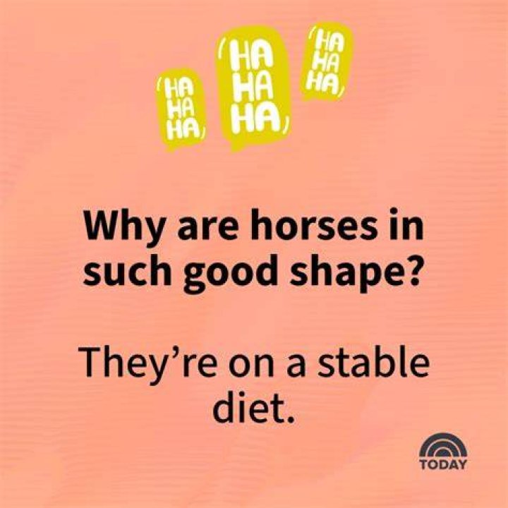 stupidest jokes