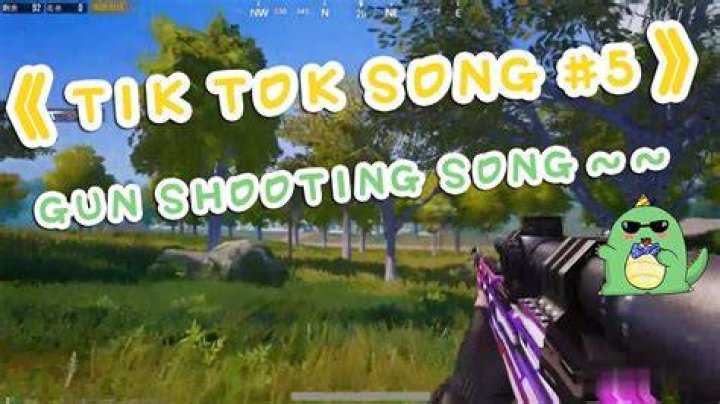 TIK TOK GUN SONG - floor music with gunshots