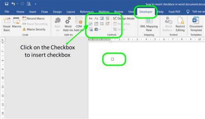 Word insert checkbox Word insert checkbox