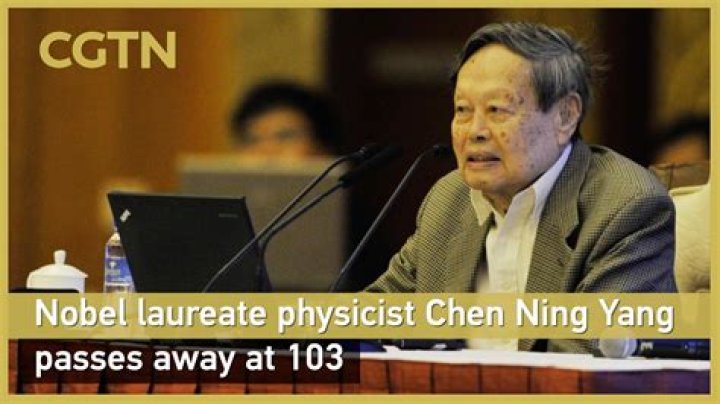 yang chen chen net worth yang chen chen net worth